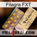 Filagra FXT new06